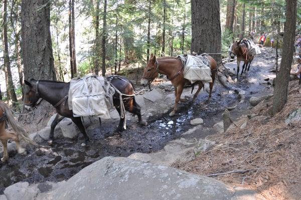 during ascent from Illilouette Creek to Nevada Fall