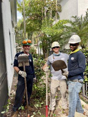 Digging out travelers palms