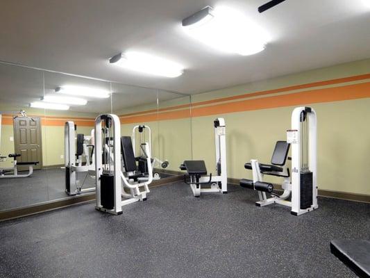 Stratford Ridge Marietta Ga Apartments photo of well equipped fitness center