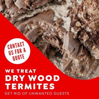 Your home is your biggest investment, and termites are out to damage it! Protect your home from damaging termites.