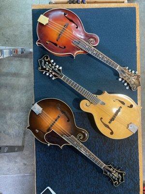 Mandolin meetup