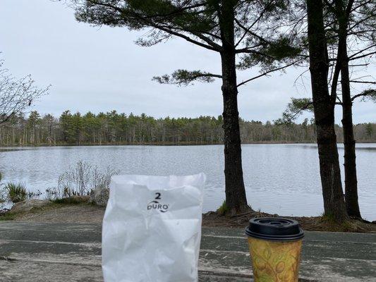 Coffee and donut from The Village, at Donnabeth Lipman park. A fine weekend morning in Windham