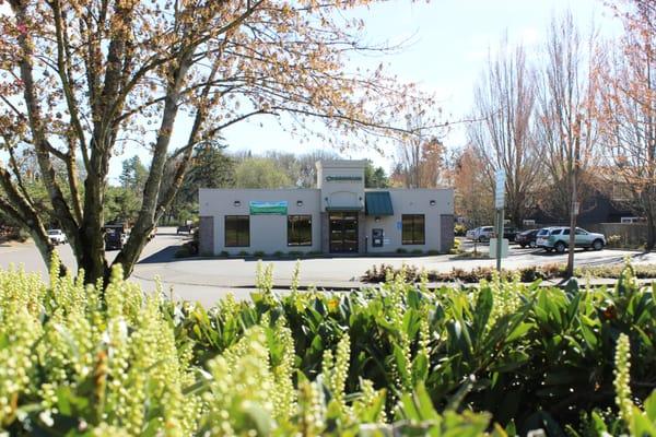 Beaverton Branch From Allen Boulevard