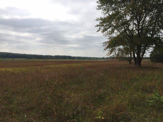 Prairie where most of the trails run