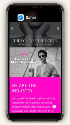 Client Screenshot: The Solo Esthetician is a beauty influencer. We rebranded their company and updated their website to grow their audience.