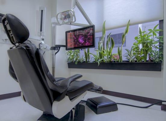 INSIDE LA HOLISTIC DENTISTRY