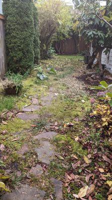 Side yard-before