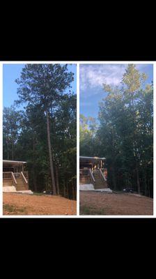 Before and after we dropped a tree by a home