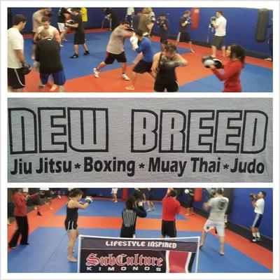 Boxing Classes @New Breed Chicago!