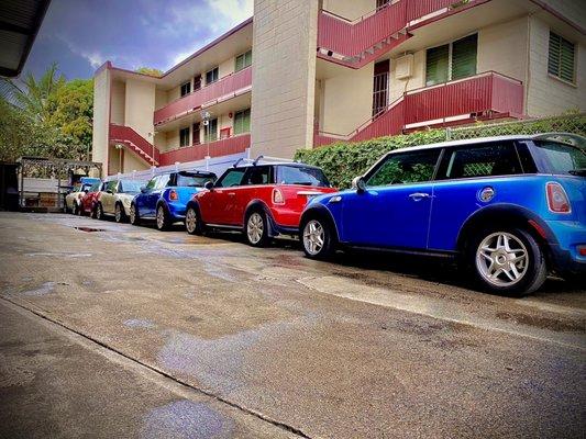 Minis lined up...