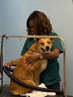 Having to hold her while blow drying her.