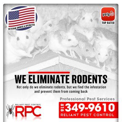 Eliminate Rodents with Reliant Pest Control