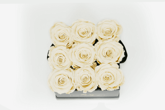 Back Box Beige Roses