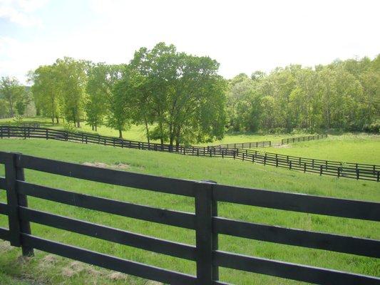 QUARANTINE PASTURE IS ALSO PASTURE 3