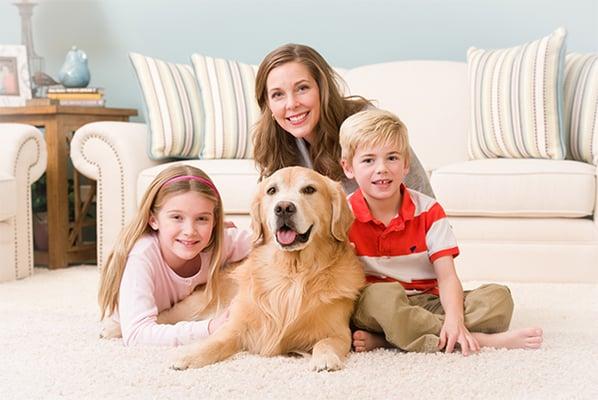 Professional Carpet Cleaning Fayetteville, GA