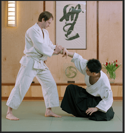 Two students performing a technique.