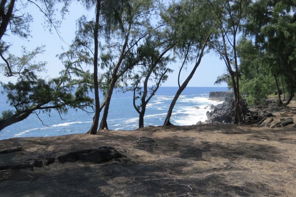 Beach View