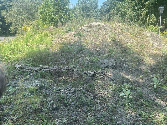 Why is this berm here and why did someone start to painstakingly build a wall of flat rocks across it then abandon the project?