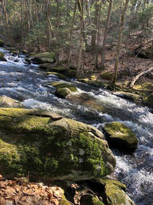 Roaring Brook