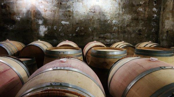 Wine barrels