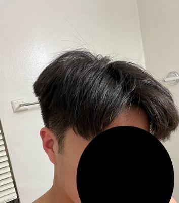 Pictures of terrible and uneven haircut. No layering or regard for top hair.