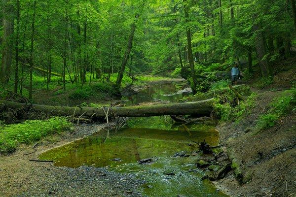 Deeper in the wooded areas of Hocking Hills