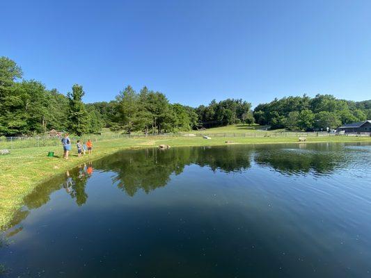 Trout pond