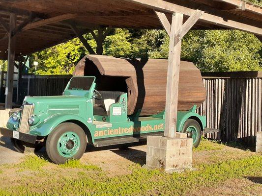 Ancient Redwoods RV Park