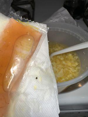 Found a baby roach in egg drop soup ... this just kinda messed up Chinese food experience for me