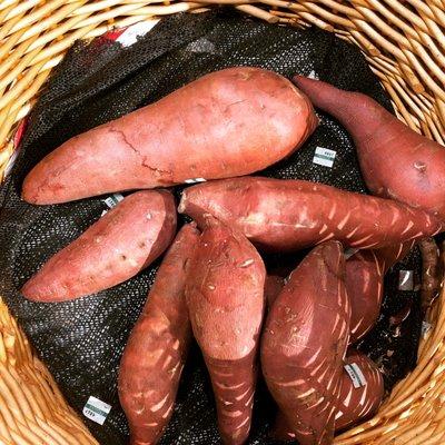 Red Garnet Yams .