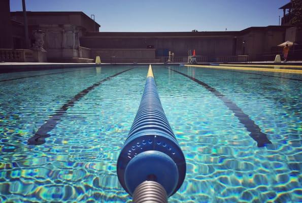 Yet another sunny day at UC Berkeley's renowned Hearst Pool