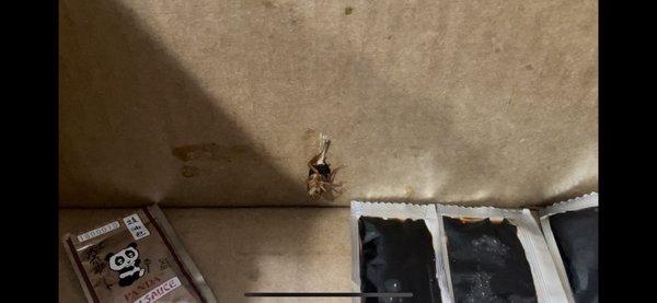 Unexpected extra protein, 3 large roaches in the box they put the food in.