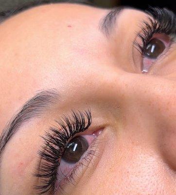 Lash Extensions