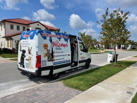 Pawmper Fluffy Salon and Mobile Pet Spa