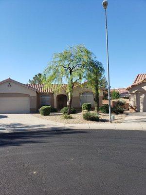 COCHISE HOA 90 HOMES IN SUN CITY WEST