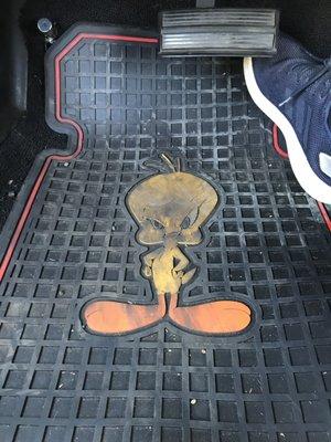 Thankfully my floor mat came clean after I washed it, but wow.