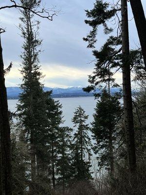 South Whidbey State Park Forest discovery trail views