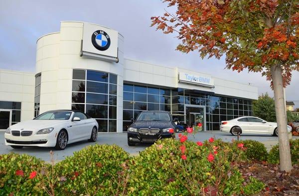 Fall at Taylor BMW