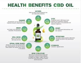 The many benefits of CBD uses available in various forms for your wellness needs. https://www.cathrynvalorholisticwellness.com