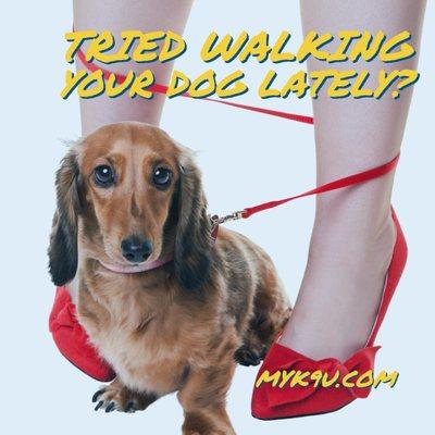 Walking your dog should not be this tough !