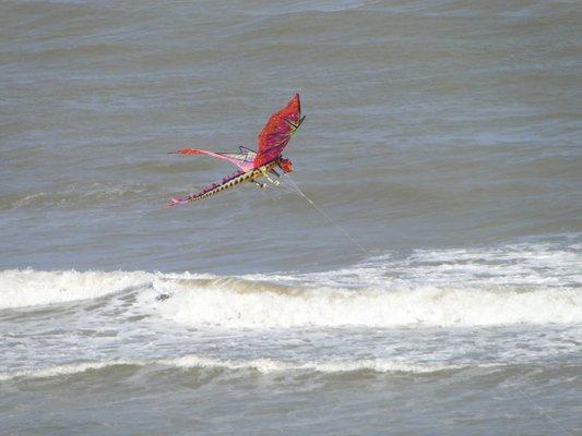 Kite Day