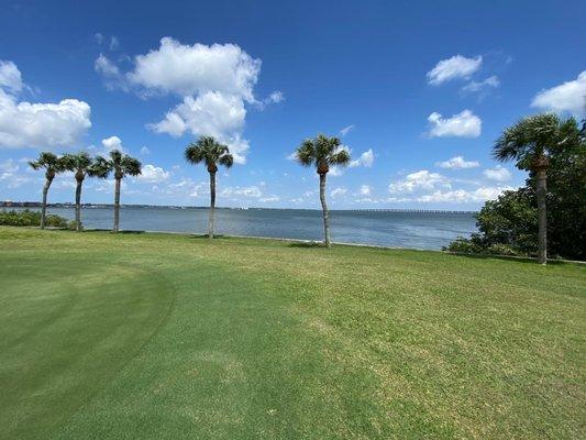 The view of Old Tampa Bay.