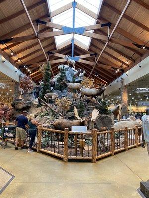 Nature display at the center of the store