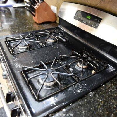 Wolf Stove Repair Denver