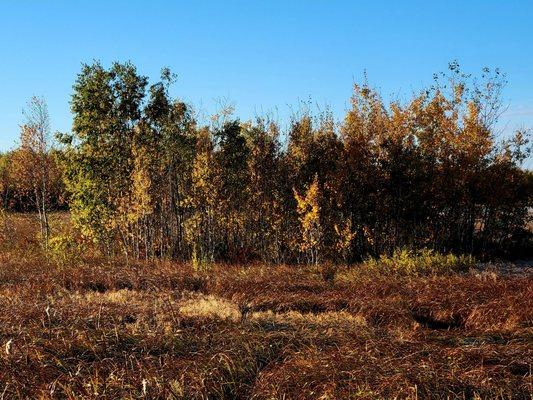 Crex Wildlife Education & Visitor Center