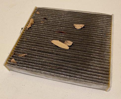 I'm ashamed to say that this was my Lexus cabin air filter. AutoZone hooked me up with a fantastic new one.  Curbside was a breeze!