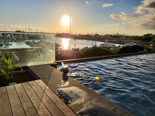 View from the Pool Deck