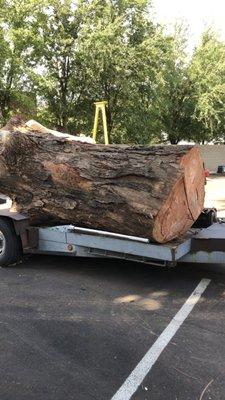 12,000lb log we gave to the sawmill.