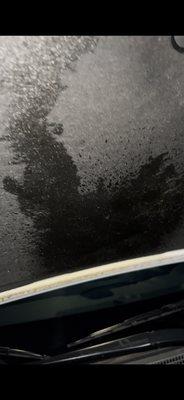 Oil spill on hood