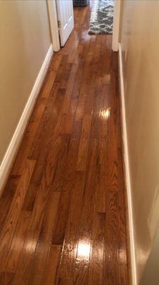 Freshly cleaned hardwood floors using a special hardwood floor treatment